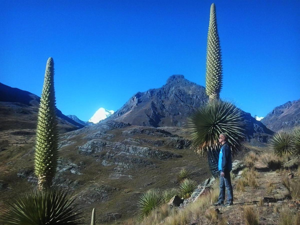 Laguna House Huaraz (Ancash) Exterior foto